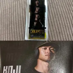 阪神タイガース　TIGERS B-LUCK DYNAMITE SERIES #5