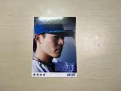 Item thumbnail for item ed278109-8709-4ae9-b8c2-685b7120fe64