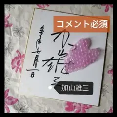 加山雄三　油彩　肉筆『裸婦』表サイン　裏サイン　F8号　額装　z68 加山雄三 油彩 肉筆『裸婦』表サイン 裏サイン F8号 額装 z68