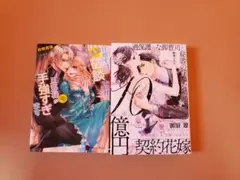 TL小説2冊セット　オパール文庫　ハニー文庫