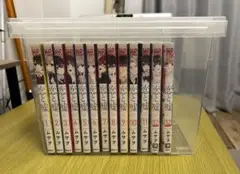 恋と嘘 全13巻セット（完結）　ケースあり