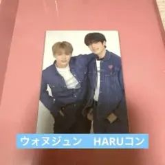 【SEVENTEEN】ウォヌジュン　ペアトレカ　HARU 085
