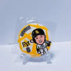 若鷹ガチャ 川瀬晃 缶バッジ