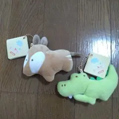 つぶらな瞳シリーズ　動物園＋