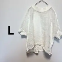 訳あり　Ｆ　白　ホワイト 透け感　レース Tシャツ　カットソー　トップス