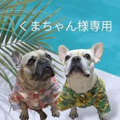 ★くまちゃんさま専用★