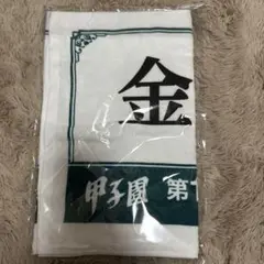 107回　甲子園　金足農業
