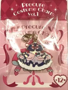 【匿名配送】プリキュア　コスチュームチャーム　キュアフレンディ　新品未使用