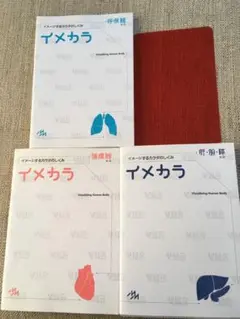 イメカラ 肝・胆・膵 呼吸器 循環器 3冊セット
