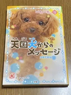 本