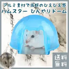 Item thumbnail for item 91de2e31-644b-446a-bda3-494872e074b3