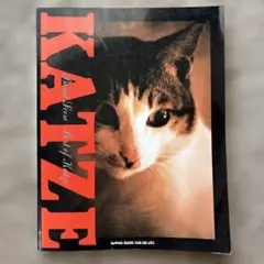 688 KATZE BEST バンドスコア Amazon.co.jp: KATZE Good Times Bad Times バンドスコア