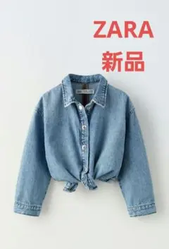 Item thumbnail for item 31b15319-2c3b-4314-9bcf-d2e7b4984a9c