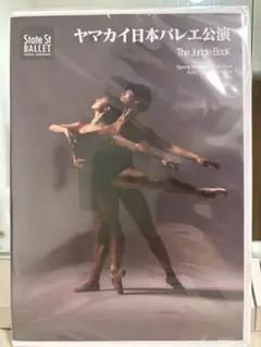 ●専用● ヤマカイ　The Ballet Show 　DVD＋パンフレットセット 2025年最新】ヤマカイ バレエの人気アイテム - メルカリ