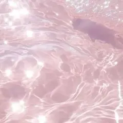 りんこさま専用
