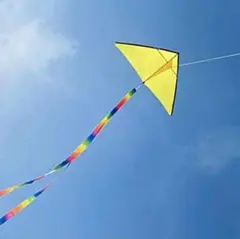 Item thumbnail for item 8ab7b3c9-2a8a-4f04-9152-15998d139cb3