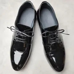 Item thumbnail for item 6fa9d663-0d9d-4954-9851-f2431a3eed02