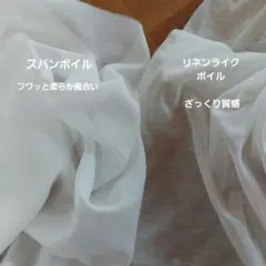 Item thumbnail for item b27c1bae-5d9b-4261-bc71-1223e3f86870