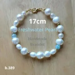 Item thumbnail for item a68260bd-531c-4402-9193-dfd4f7f448ab