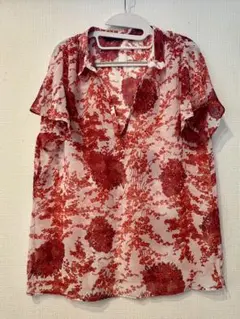 試着のみ★ザラ★zara シースルーブラウス　半袖　花柄　M