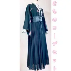 展示品　◇和洋 きものコーデ◇  セット売り　ブラック　猫柄ブラウス・ベルト付き