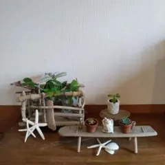 Item thumbnail for item 003c75ba-b373-4294-8c45-4a319b046b52