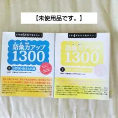 【未使用】2冊セット【語彙力アップ1300】