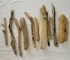 Item thumbnail for item b8ed94cb-2220-4675-b22c-15c6f6059ec2