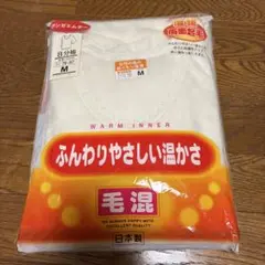 Item thumbnail for item ba463069-cd7f-440e-a726-23bd175563c2