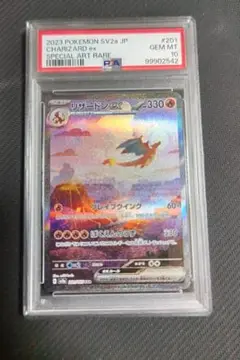 リザードンew sar