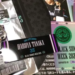 千葉ロッテマリーンズ 田中晴也　ブラックサマー　BSW キーホルダー