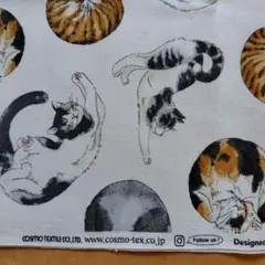 オックス生地　猫柄　ニャンモナイト　生成り　50㌢