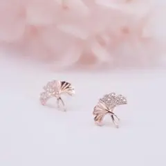 海外　大人気　新品　未使用　レディース ピアス　大特価　送料無料　1007