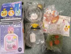 ポケモン　プチフルール　ガラル地方編　サルノリ　ヒバニー　2点セット
