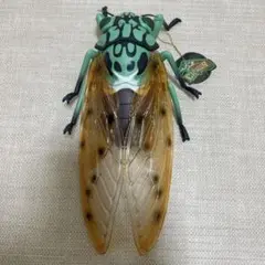 リアルBIGサイズフィギュア　ミンミンゼミ　成虫