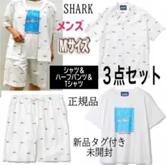 Item thumbnail for item 71404f33-8b83-4585-81fb-8637a105545a