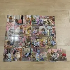 猫カフェmocha 2025 春トレカ 越谷 レイクタウン コンプリート