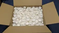 白いプラスチックキャップ多数