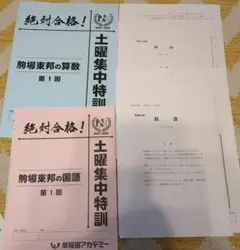 早稲田アカデミー＊６年＊土曜特訓 ＮＮ志望校別後期／駒場東邦の理科＊全８回 貴重 NN志望校別コース（後期） 駒場東邦クラス 小6 | オプション