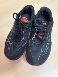 ミズノ ウエーブクローEL2 WIDE バドミントンシューズ 24.0cm