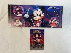 ディズニーシー ビッグバンドビート BBB リゾラフリー切符 パンフレット