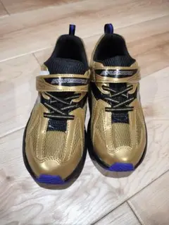 Item thumbnail for item d0f10fac-7e31-4f72-89b2-c54b4911c003