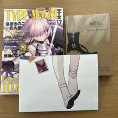 ＴＹＰＥ-ＭＯＯＮエースVOL.17
