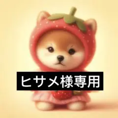 専用ページ