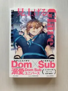 見上げるGlare コミコミスタジオ特典小説ペーパー付き
