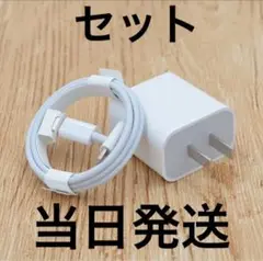 iPhone 充電器 20W PDUSB C Lightning ケーブル1M