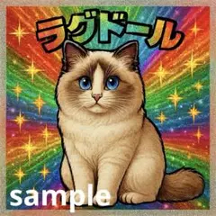 ラグドール　シール・ステッカー　複数枚購入可能！　猫　cat 猫ミーム