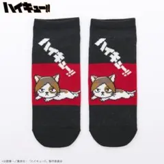 ハイキュー　ケンマネコ　靴下　新品未使用