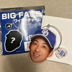 ドラゴンズ　ワイヤーチャーム　田中幹也