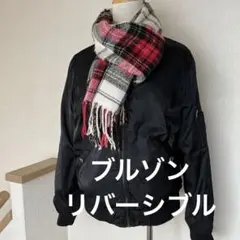 Item thumbnail for item 4416be13-4e96-4abb-bdf8-657a369d5a4a